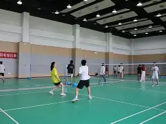 乐鱼中国 -羽毛球大奖赛，江南闪电队与东城玄武队淘汰对手，阵地战处理得当！保级形势悄然变化的简单介绍