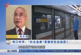 窗口期社区盾传出新动向；布莱顿迎来里程碑；管理层表态：震撼外界；数据趋势出现新变化的简单介绍